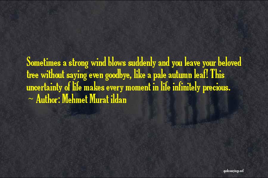 Mehmet Murat Ildan Quotes: Sometimes A Strong Wind Blows Suddenly And You Leave Your Beloved Tree Without Saying Even Goodbye, Like A Pale Autumn