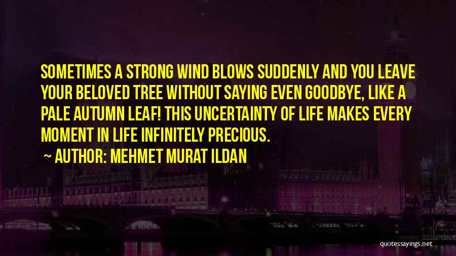 Mehmet Murat Ildan Quotes: Sometimes A Strong Wind Blows Suddenly And You Leave Your Beloved Tree Without Saying Even Goodbye, Like A Pale Autumn