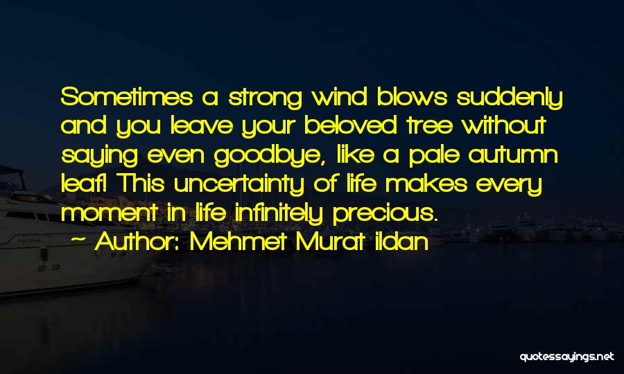 Mehmet Murat Ildan Quotes: Sometimes A Strong Wind Blows Suddenly And You Leave Your Beloved Tree Without Saying Even Goodbye, Like A Pale Autumn