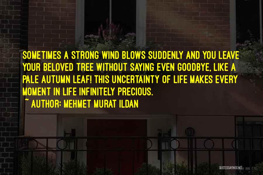 Mehmet Murat Ildan Quotes: Sometimes A Strong Wind Blows Suddenly And You Leave Your Beloved Tree Without Saying Even Goodbye, Like A Pale Autumn