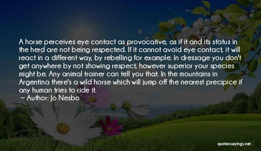 Jo Nesbo Quotes: A Horse Perceives Eye Contact As Provocative, As If It And Its Status In The Herd Are Not Being Respected.