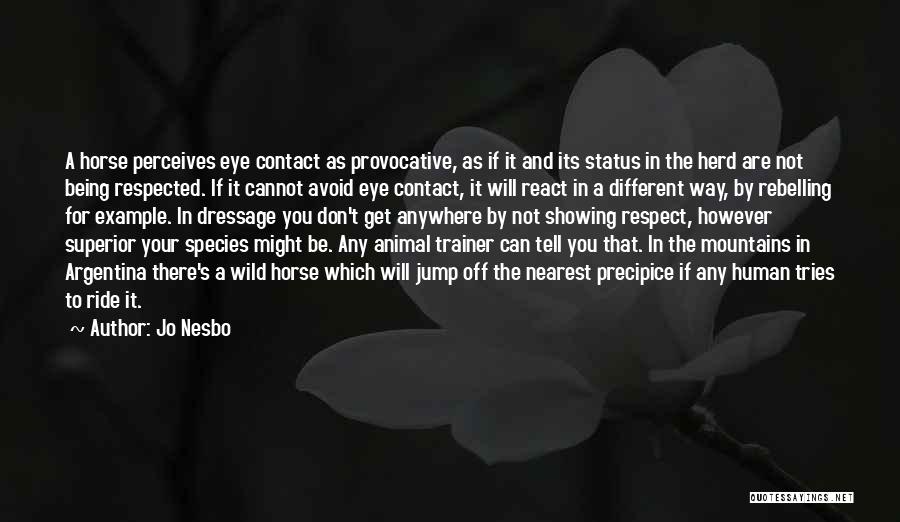 Jo Nesbo Quotes: A Horse Perceives Eye Contact As Provocative, As If It And Its Status In The Herd Are Not Being Respected.