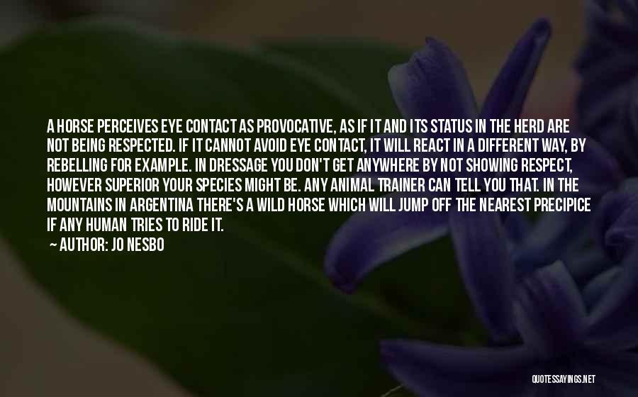 Jo Nesbo Quotes: A Horse Perceives Eye Contact As Provocative, As If It And Its Status In The Herd Are Not Being Respected.