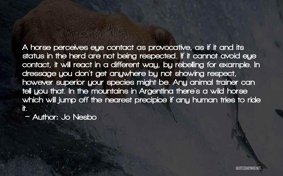 Jo Nesbo Quotes: A Horse Perceives Eye Contact As Provocative, As If It And Its Status In The Herd Are Not Being Respected.