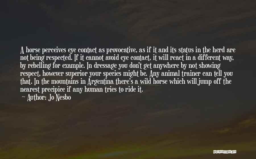 Jo Nesbo Quotes: A Horse Perceives Eye Contact As Provocative, As If It And Its Status In The Herd Are Not Being Respected.