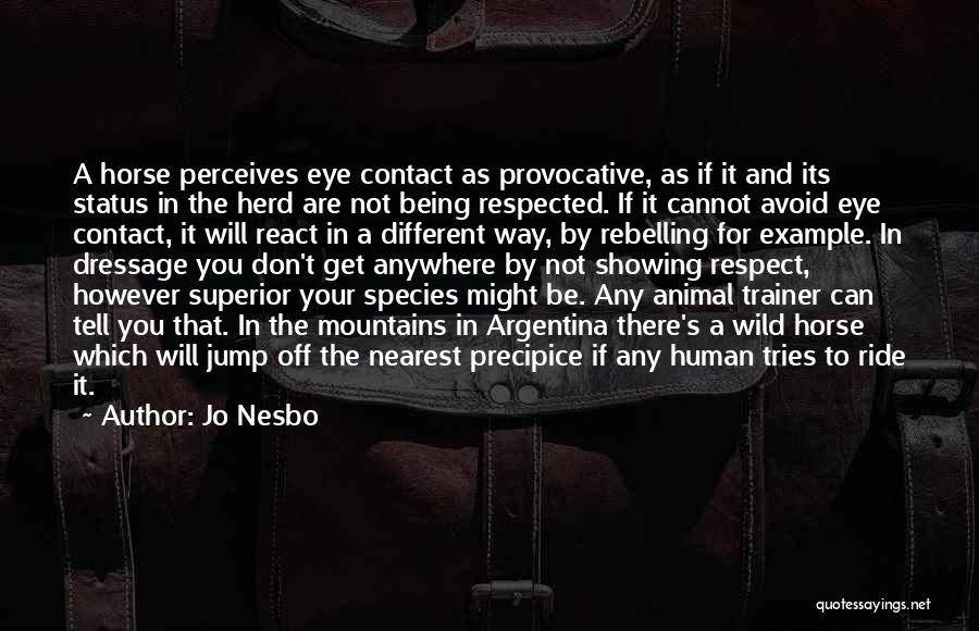 Jo Nesbo Quotes: A Horse Perceives Eye Contact As Provocative, As If It And Its Status In The Herd Are Not Being Respected.