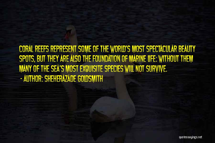 Sheherazade Goldsmith Quotes: Coral Reefs Represent Some Of The World's Most Spectacular Beauty Spots, But They Are Also The Foundation Of Marine Life: