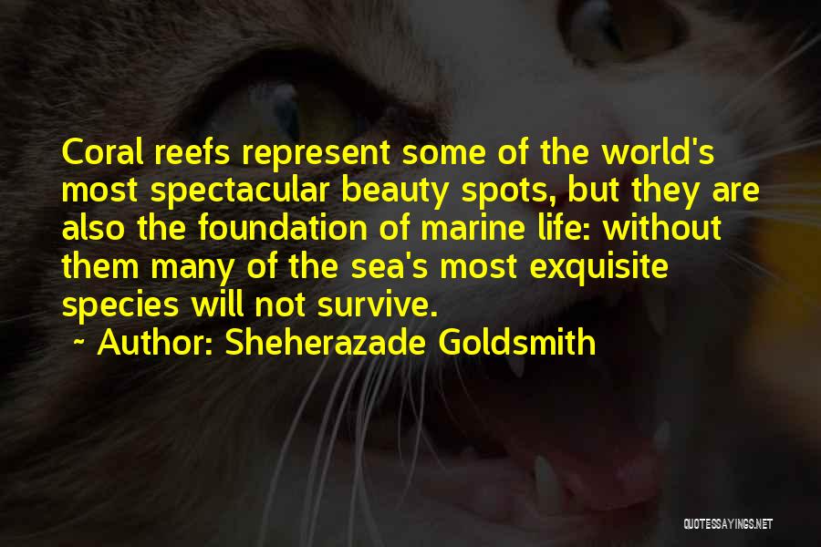 Sheherazade Goldsmith Quotes: Coral Reefs Represent Some Of The World's Most Spectacular Beauty Spots, But They Are Also The Foundation Of Marine Life: