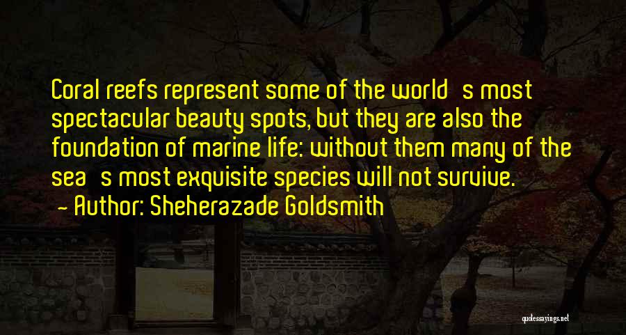 Sheherazade Goldsmith Quotes: Coral Reefs Represent Some Of The World's Most Spectacular Beauty Spots, But They Are Also The Foundation Of Marine Life: