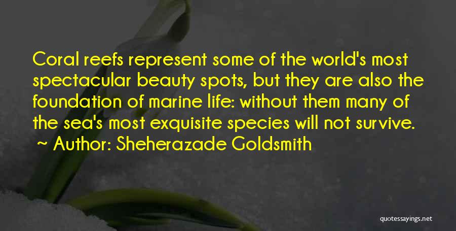 Sheherazade Goldsmith Quotes: Coral Reefs Represent Some Of The World's Most Spectacular Beauty Spots, But They Are Also The Foundation Of Marine Life: