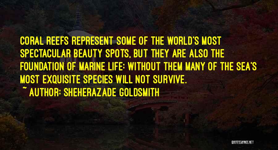 Sheherazade Goldsmith Quotes: Coral Reefs Represent Some Of The World's Most Spectacular Beauty Spots, But They Are Also The Foundation Of Marine Life: