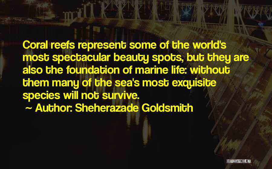 Sheherazade Goldsmith Quotes: Coral Reefs Represent Some Of The World's Most Spectacular Beauty Spots, But They Are Also The Foundation Of Marine Life: