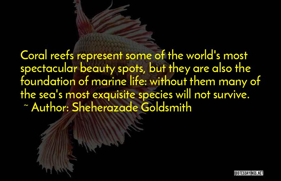 Sheherazade Goldsmith Quotes: Coral Reefs Represent Some Of The World's Most Spectacular Beauty Spots, But They Are Also The Foundation Of Marine Life: