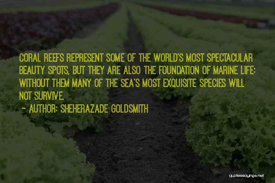 Sheherazade Goldsmith Quotes: Coral Reefs Represent Some Of The World's Most Spectacular Beauty Spots, But They Are Also The Foundation Of Marine Life: