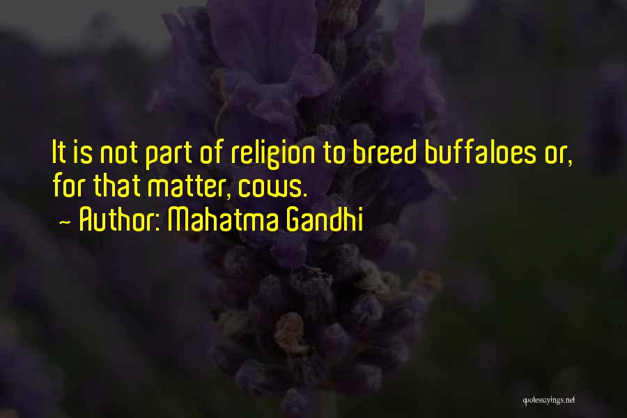 Mahatma Gandhi Quotes: It Is Not Part Of Religion To Breed Buffaloes Or, For That Matter, Cows.