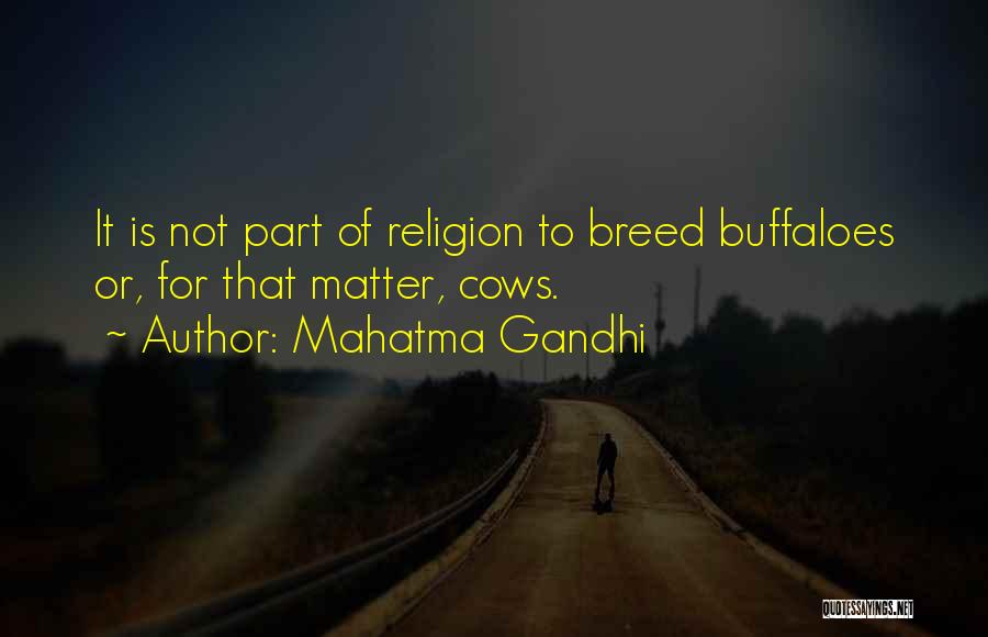 Mahatma Gandhi Quotes: It Is Not Part Of Religion To Breed Buffaloes Or, For That Matter, Cows.