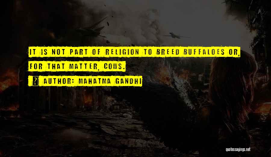 Mahatma Gandhi Quotes: It Is Not Part Of Religion To Breed Buffaloes Or, For That Matter, Cows.