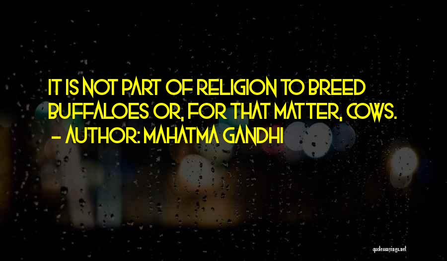 Mahatma Gandhi Quotes: It Is Not Part Of Religion To Breed Buffaloes Or, For That Matter, Cows.