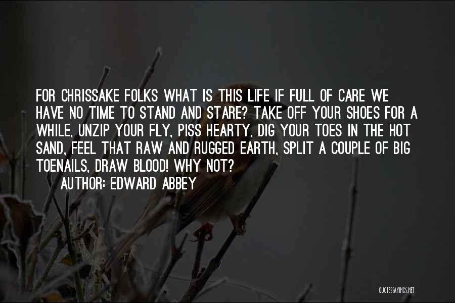 Edward Abbey Quotes: For Chrissake Folks What Is This Life If Full Of Care We Have No Time To Stand And Stare? Take