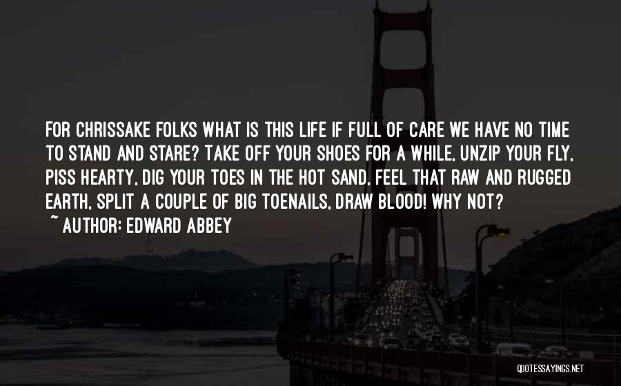 Edward Abbey Quotes: For Chrissake Folks What Is This Life If Full Of Care We Have No Time To Stand And Stare? Take