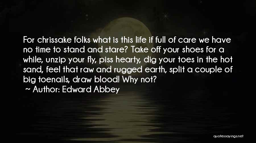 Edward Abbey Quotes: For Chrissake Folks What Is This Life If Full Of Care We Have No Time To Stand And Stare? Take