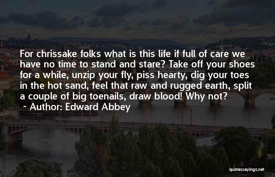 Edward Abbey Quotes: For Chrissake Folks What Is This Life If Full Of Care We Have No Time To Stand And Stare? Take