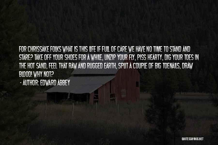 Edward Abbey Quotes: For Chrissake Folks What Is This Life If Full Of Care We Have No Time To Stand And Stare? Take