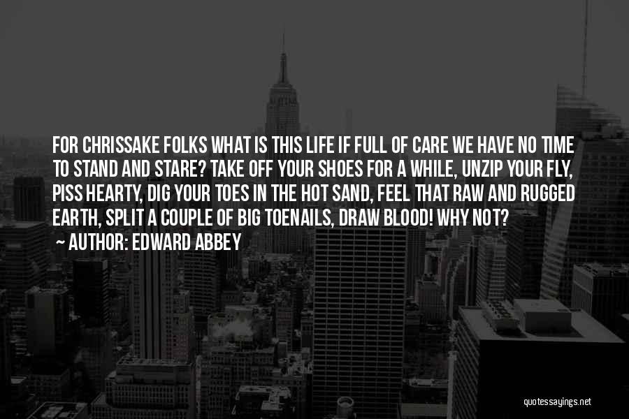 Edward Abbey Quotes: For Chrissake Folks What Is This Life If Full Of Care We Have No Time To Stand And Stare? Take