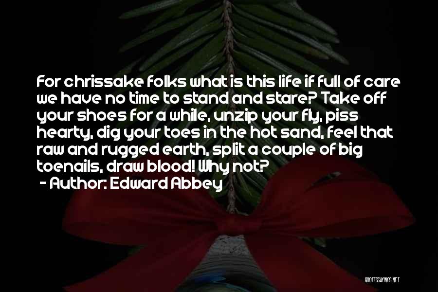 Edward Abbey Quotes: For Chrissake Folks What Is This Life If Full Of Care We Have No Time To Stand And Stare? Take