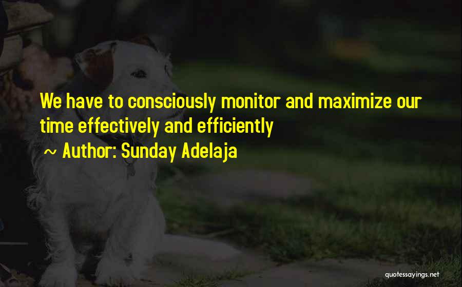 Sunday Adelaja Quotes: We Have To Consciously Monitor And Maximize Our Time Effectively And Efficiently