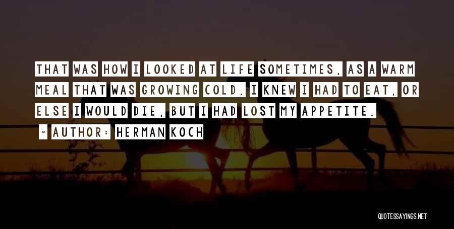 Herman Koch Quotes: That Was How I Looked At Life Sometimes, As A Warm Meal That Was Growing Cold. I Knew I Had