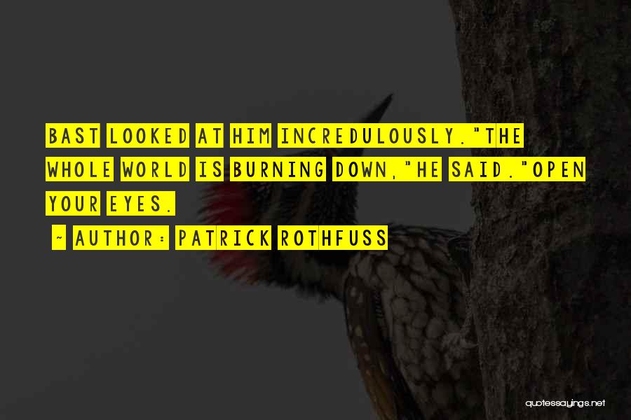 Patrick Rothfuss Quotes: Bast Looked At Him Incredulously.the Whole World Is Burning Down,he Said.open Your Eyes.