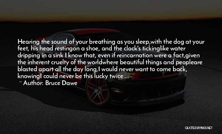 Bruce Dawe Quotes: Hearing The Sound Of Your Breathing As You Sleep,with The Dog At Your Feet, His Head Restingon A Shoe, And