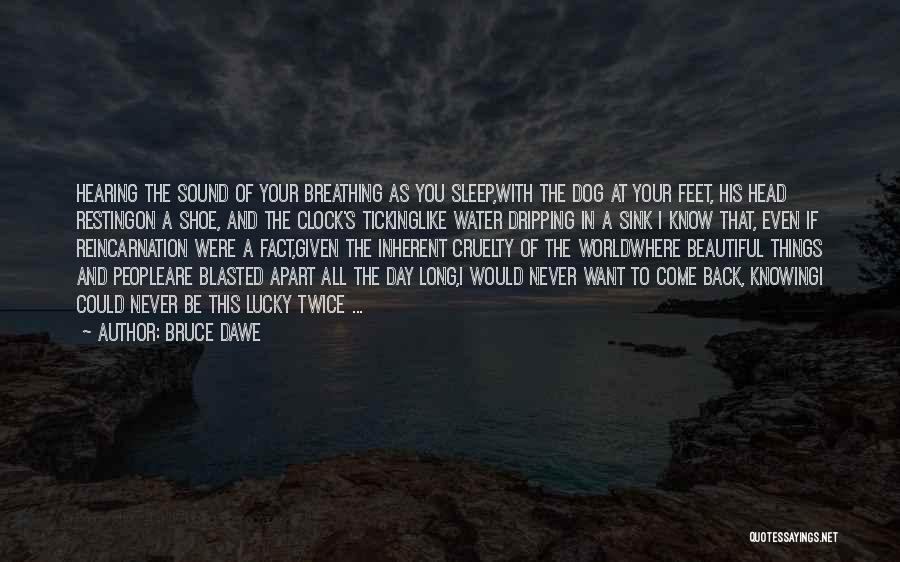 Bruce Dawe Quotes: Hearing The Sound Of Your Breathing As You Sleep,with The Dog At Your Feet, His Head Restingon A Shoe, And