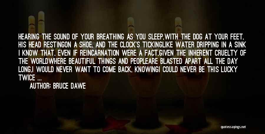 Bruce Dawe Quotes: Hearing The Sound Of Your Breathing As You Sleep,with The Dog At Your Feet, His Head Restingon A Shoe, And