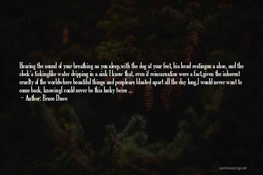 Bruce Dawe Quotes: Hearing The Sound Of Your Breathing As You Sleep,with The Dog At Your Feet, His Head Restingon A Shoe, And