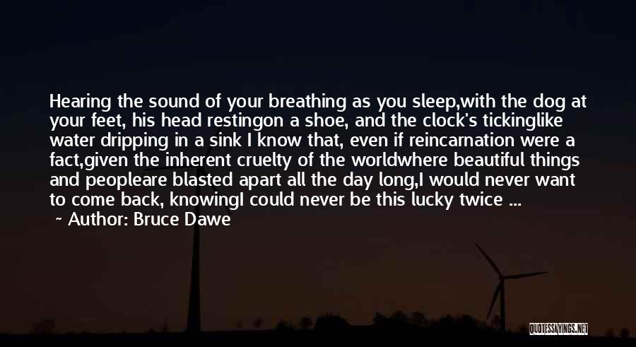 Bruce Dawe Quotes: Hearing The Sound Of Your Breathing As You Sleep,with The Dog At Your Feet, His Head Restingon A Shoe, And