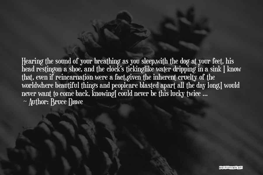 Bruce Dawe Quotes: Hearing The Sound Of Your Breathing As You Sleep,with The Dog At Your Feet, His Head Restingon A Shoe, And