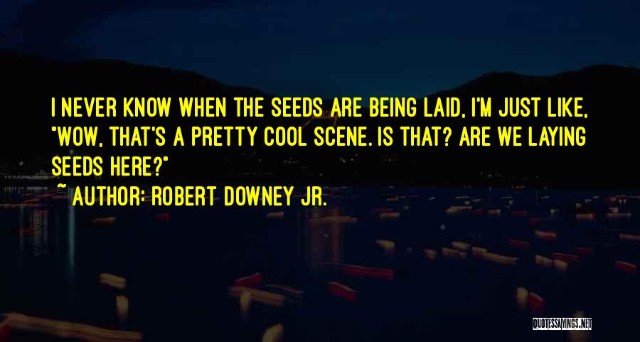 Robert Downey Jr. Quotes: I Never Know When The Seeds Are Being Laid, I'm Just Like, Wow, That's A Pretty Cool Scene. Is That?