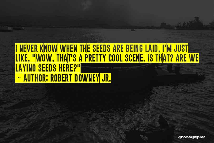 Robert Downey Jr. Quotes: I Never Know When The Seeds Are Being Laid, I'm Just Like, Wow, That's A Pretty Cool Scene. Is That?