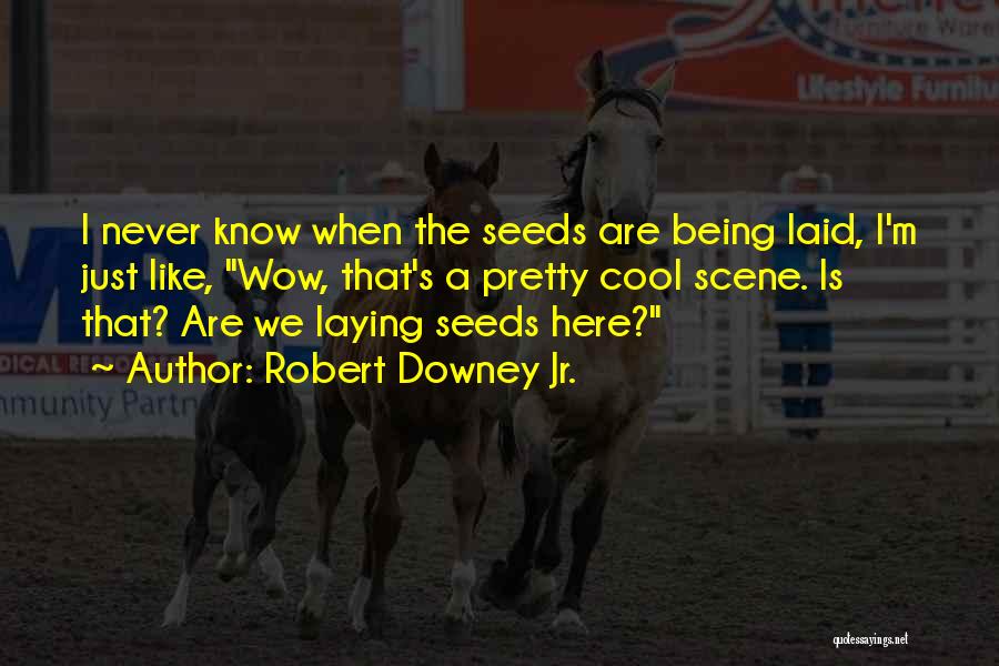 Robert Downey Jr. Quotes: I Never Know When The Seeds Are Being Laid, I'm Just Like, Wow, That's A Pretty Cool Scene. Is That?