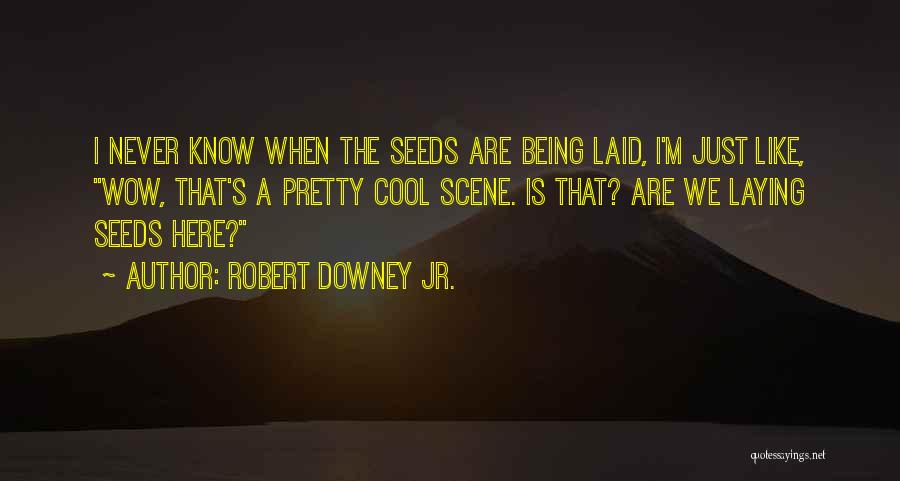 Robert Downey Jr. Quotes: I Never Know When The Seeds Are Being Laid, I'm Just Like, Wow, That's A Pretty Cool Scene. Is That?
