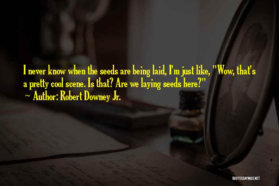 Robert Downey Jr. Quotes: I Never Know When The Seeds Are Being Laid, I'm Just Like, Wow, That's A Pretty Cool Scene. Is That?