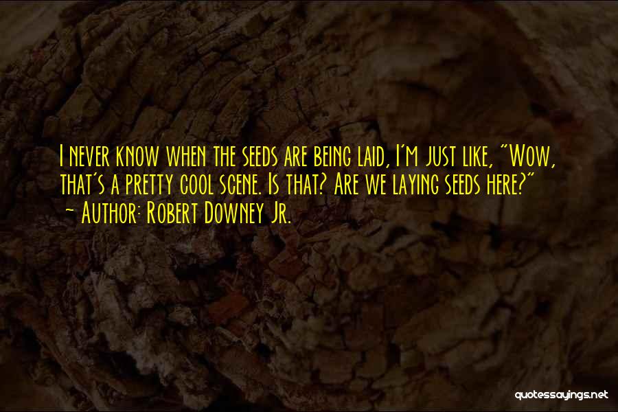 Robert Downey Jr. Quotes: I Never Know When The Seeds Are Being Laid, I'm Just Like, Wow, That's A Pretty Cool Scene. Is That?