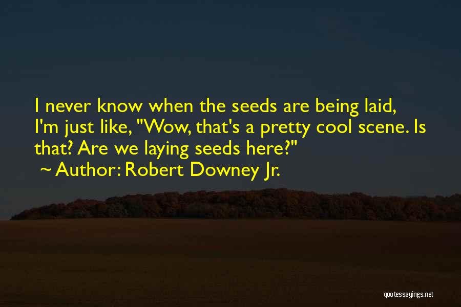 Robert Downey Jr. Quotes: I Never Know When The Seeds Are Being Laid, I'm Just Like, Wow, That's A Pretty Cool Scene. Is That?