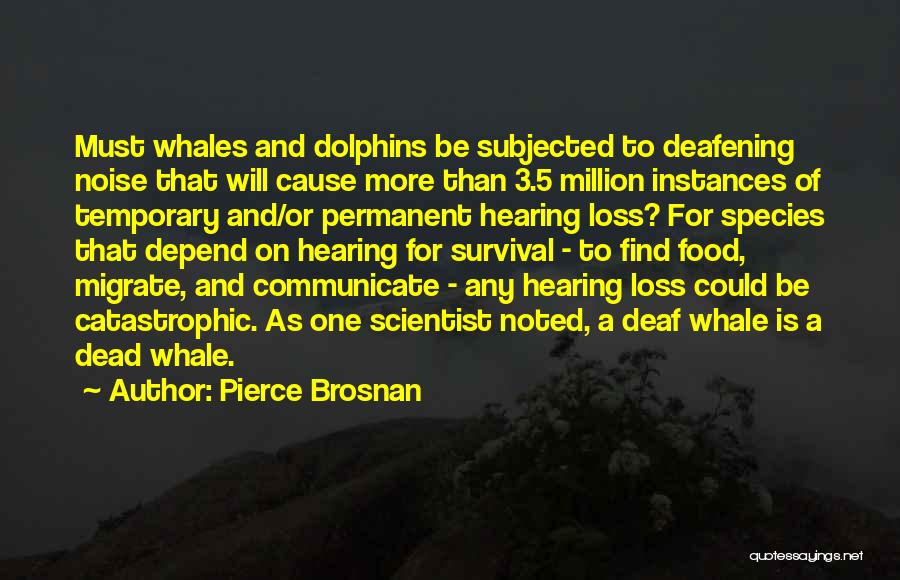 Pierce Brosnan Quotes: Must Whales And Dolphins Be Subjected To Deafening Noise That Will Cause More Than 3.5 Million Instances Of Temporary And/or