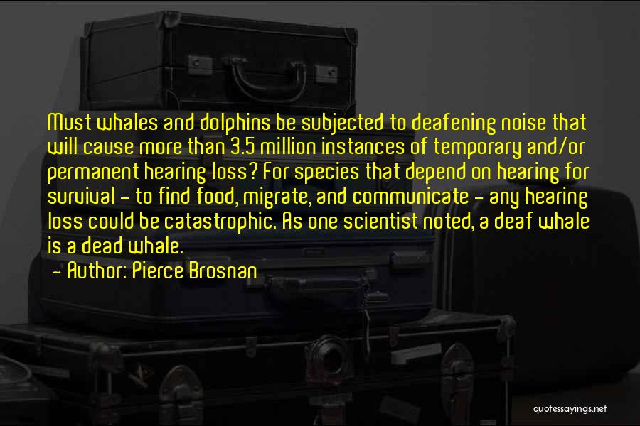 Pierce Brosnan Quotes: Must Whales And Dolphins Be Subjected To Deafening Noise That Will Cause More Than 3.5 Million Instances Of Temporary And/or