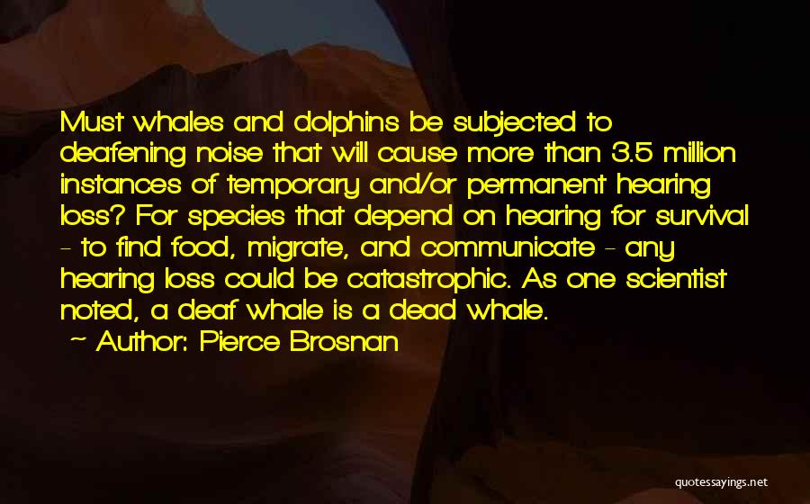 Pierce Brosnan Quotes: Must Whales And Dolphins Be Subjected To Deafening Noise That Will Cause More Than 3.5 Million Instances Of Temporary And/or