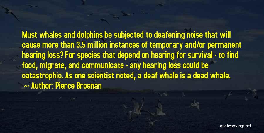 Pierce Brosnan Quotes: Must Whales And Dolphins Be Subjected To Deafening Noise That Will Cause More Than 3.5 Million Instances Of Temporary And/or