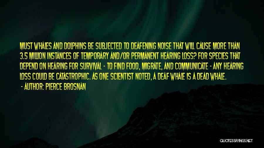 Pierce Brosnan Quotes: Must Whales And Dolphins Be Subjected To Deafening Noise That Will Cause More Than 3.5 Million Instances Of Temporary And/or